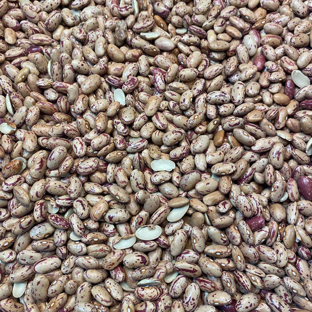 Borlotti Beans