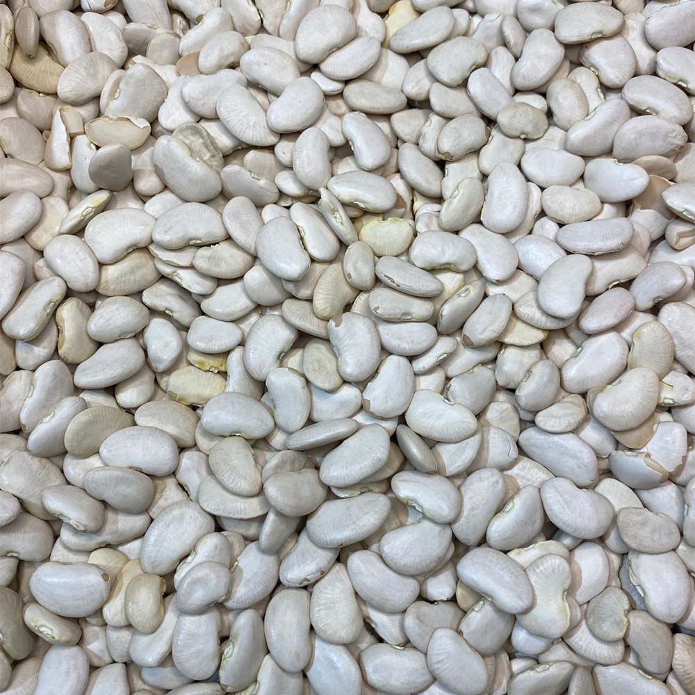 Lima Beans