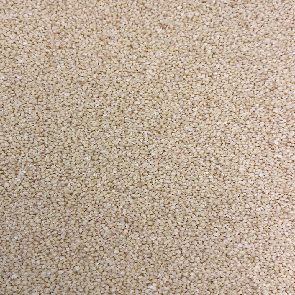 Quinoa Seeds White