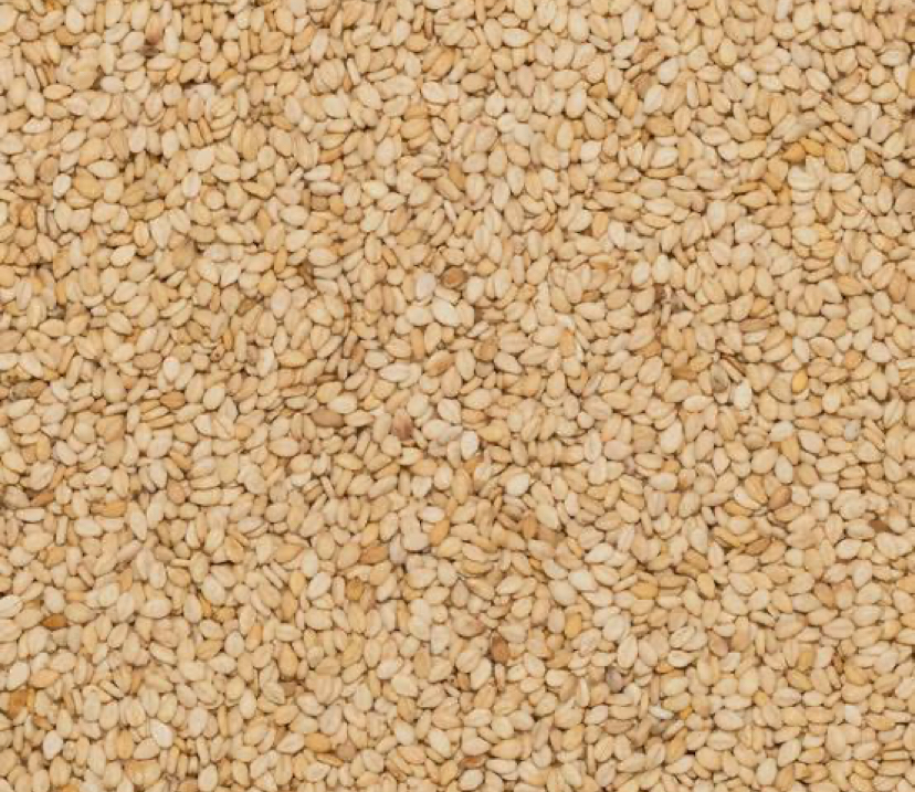 Sesame Seeds